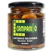 Rovellon Boton Campanillo Lactarius Deliciosus
