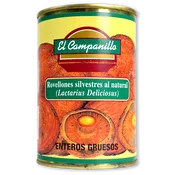 Rovellón Entero Grueso Campanillo Lactarius Deliciosus