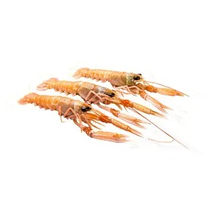 Cigalas Troncos, Calibre 7-10. 375 G