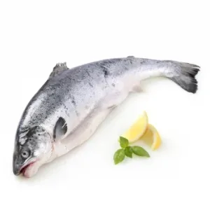 Salmón 3 Kg Aprox