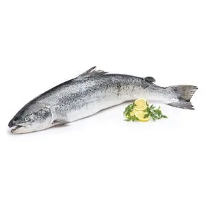 Salmón Entero o Mitades