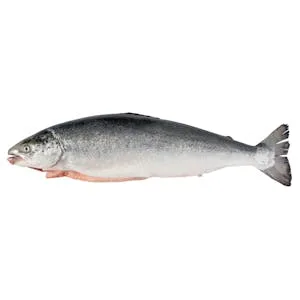 Salmón sin Aletas y sin Escamas 2.8 KG