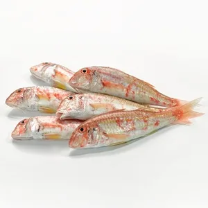 Salmonetes de Arrastre