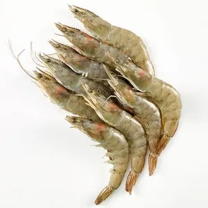 Langostino Salvaje Crudo de Madagascar 40-60 Pzas/kg