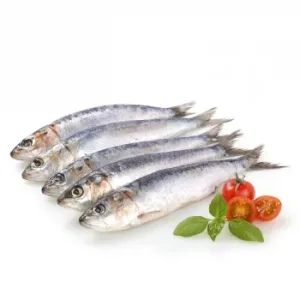 Sardinas 1 Kg Aprox