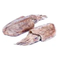 Sepia Fresca, al Peso, Compra Mínima 500 G