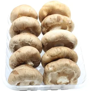 Seta Shiitake Cultivada  Delichamp 150 G