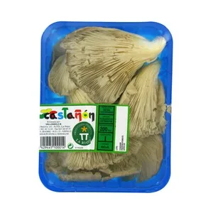 Setas Bandeja de 200g. 200 G