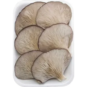 Setas Cultivadas