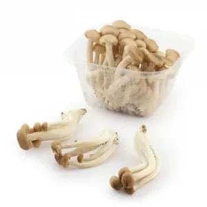 Shimeji Marrón 150 G