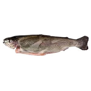 Trucha sin Aletas 0.56 KG