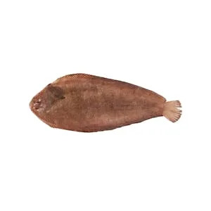 Lenguado sin Limpiar 0.13 KG