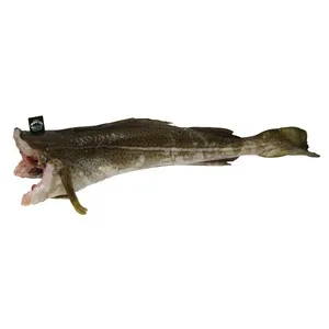 Bacalao Skrei - Entero Limpio 1875 G