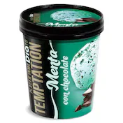 Tarrina de Menta con Chocolate Dia Temptation 350 G