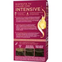 Tinte 4-1 Castaño Medio Ceniza Palette Intense, Caja 1 Ud