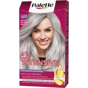 Tinte Intensive U71 Gris Plata 1 u