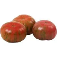 Tomate Bigarrat Saborum, al Peso, Compra Mínima 500 G