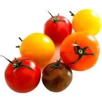 Tomate Cocktail, al Peso Compra Mínima 500 G