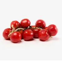 Tomate de Colgar Conca, Bandeja Aprox. 500 G