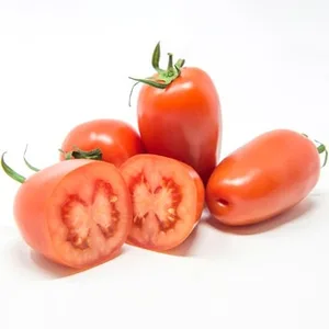 Tomate San Marzano