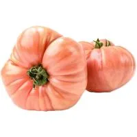Tomate Tipo Barbastro, al Peso, Compra Mínima