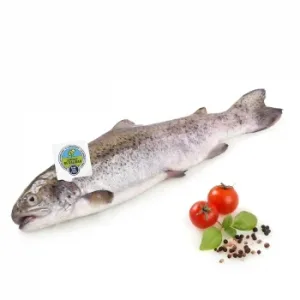 Trucha Asalmonada Círculo de Calidad 600 G Aprox