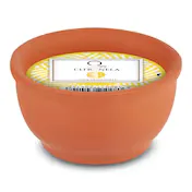 Vela Citronela en Maceta Dia Imaqe 1 Unidad