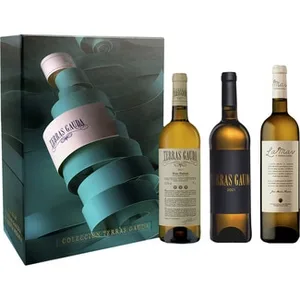 Vino Blanco DO Rías Baixas la Mar Vino Blanco DO Rïas Baixas Estuche 3 Terras Gauda
