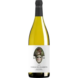 Vino Blanco Godello DO Monterrei  Mara Martin 75 CL