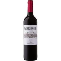 Vino Tinto Cigales 12 Meses Valdelosfrailes, Botella 75 Cl