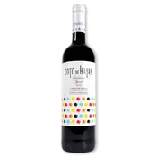 Vino Tinto Coto de Hayas Joven