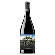 Vino Tinto de Ribera del Queiles Garnacha Salvaje Moncayo 75 Cl