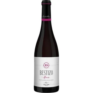 Vino Tinto DO Bierzo Bestizo