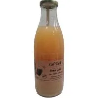 Zumo de Manzana 100% Natural CAL Violi, Botella 1 Litro
